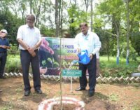 NTPC Bongaigaon observes World Environment Day