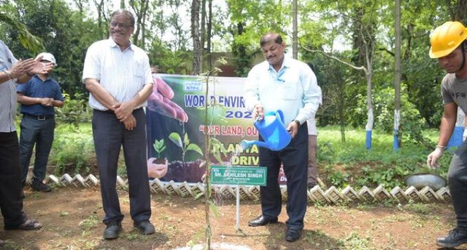 NTPC Bongaigaon observes World Environment Day