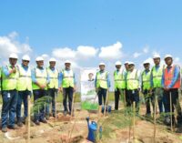 Celebrating Adani Day : Mass Plantation drive by Dhamra Port