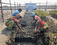 Community led mangrove conservation efforts by Reliance Foundation draws appreciation from Odisha Chief Secretary