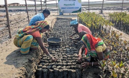 Community led mangrove conservation efforts by Reliance Foundation draws appreciation from Odisha Chief Secretary