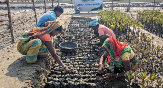 Community led mangrove conservation efforts by Reliance Foundation draws appreciation from Odisha Chief Secretary