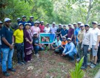 TPSODL Celebrates World Environment Day with Plantation Drive