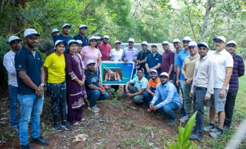 TPSODL Celebrates World Environment Day with Plantation Drive