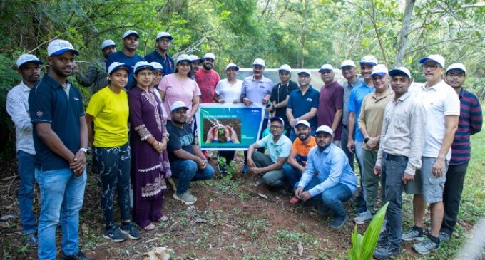 TPSODL Celebrates World Environment Day with Plantation Drive