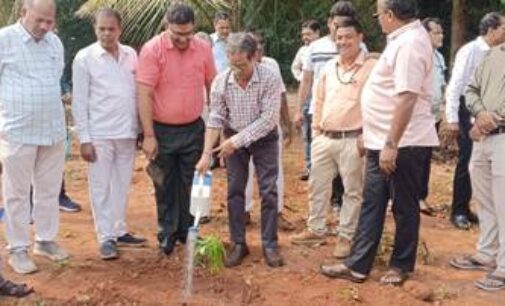 World Environment Day celebrated by CSIR-Institute of Minerals and Materials Technology, Bhubaneswar