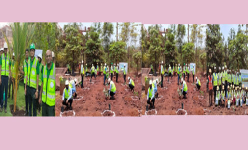 AM/NS India observes Sustainability Week in Odisha through mass plantation drives and awareness campaigns