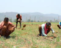 Noble Mission: Climate-resilient livelihood project launched in rural Odisha to support over 20k people in 5 years