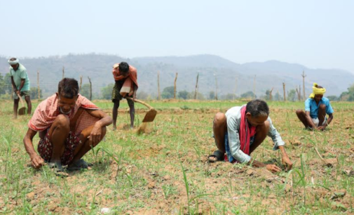 Noble Mission: Climate-resilient livelihood project launched in rural Odisha to support over 20k people in 5 years