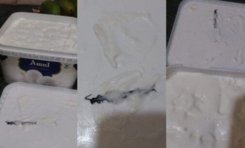 Noida woman discovers centipede inside ice cream tub she ordered online