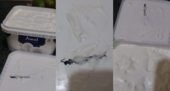 Noida woman discovers centipede inside ice cream tub she ordered online