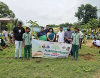 Greening Malkangiri: Rotary Club  Conducts Tree Plantation at Govt. High School, Matapaka