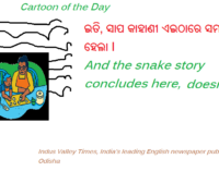 IVT Cartoon: And the story of snakes ends here !