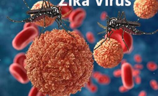 Zika virus infects 6 patients, including 2 pregnant women, in Pune