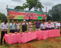 ବାଲିଗୁଡାରେ ବୃକ୍ଷରୋପଣ