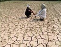 One-fourth of India dry mid-monsoon