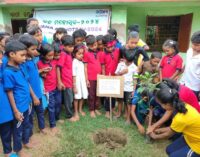 Mass Plantation drive by Adani Foundation