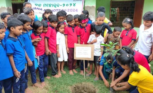 Mass Plantation drive by Adani Foundation