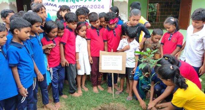 Mass Plantation drive by Adani Foundation