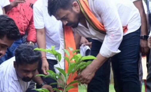 Plant a tree today for a better tomorrow