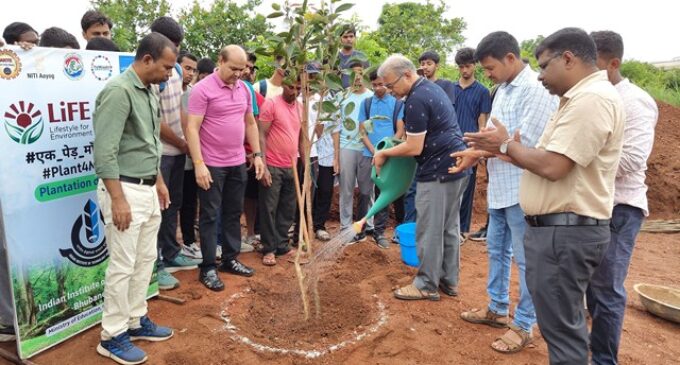 IIT Bhubaneswar organizes plantation drive as part of ‘Ek Ped Maa Ke Naam’ Campaign