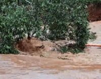 Heavy rains cut off Odisha’s Malkangiri from rest of the state, Andhra Pradesh