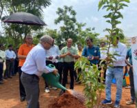 IIT Bhubaneswar organizes plantation drive as part of ‘Ek Ped Maa Ke Naam’ Campaign