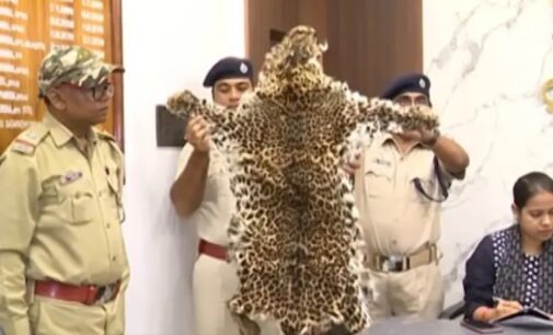 7 people, including a OSIF jawan, arrested for selling wildlife body parts