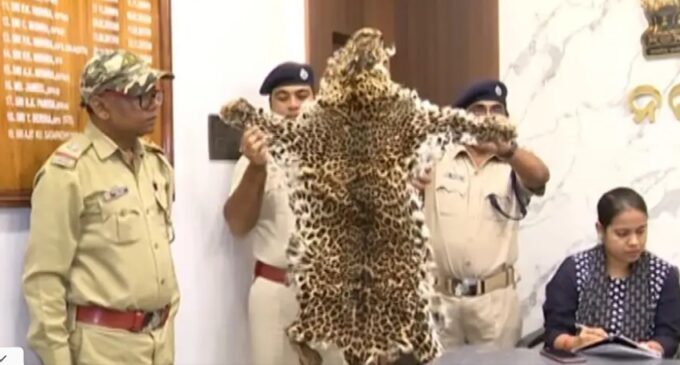 7 people, including a OSIF jawan, arrested for selling wildlife body parts