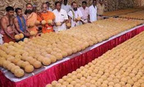 Changed ghee brand behind ‘animal fat in Tirupati laddoo’ controversy?