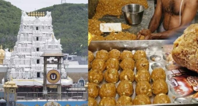 Karnataka temples asked to use only Nandini ghee amid Tirupati laddoo row