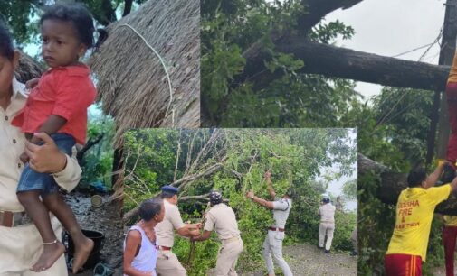 Cyclone Dana batters Odisha Coast after midnight landfall at Bhitarkanika, uproots trees and damages homes