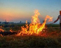 Centre doubles fines for stubble burning as Delhi, other areas battle pollution