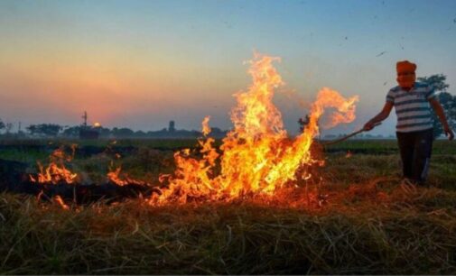 Centre doubles fines for stubble burning as Delhi, other areas battle pollution