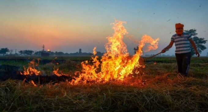 Centre doubles fines for stubble burning as Delhi, other areas battle pollution