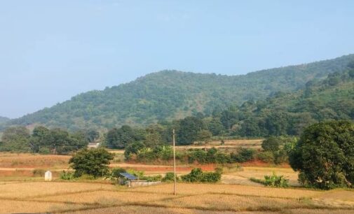 “Roots and Resilience: Weaving Culture, Forests, and Community in Koraput”