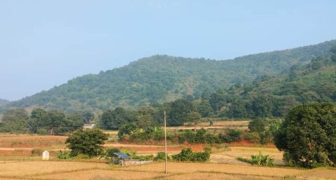 “Roots and Resilience: Weaving Culture, Forests, and Community in Koraput”