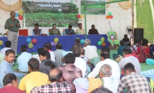 Farmers empowered through organic cotton-based agroforestry training in Odisha