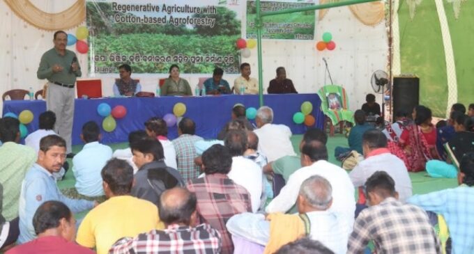 Farmers empowered through organic cotton-based agroforestry training in Odisha