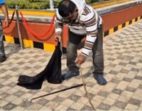 Cobra rescued from Bhubaneswar Judicial Complex ahead of President Murmu’s visit 