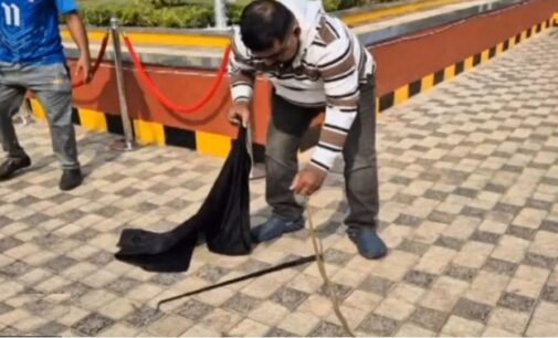 Cobra rescued from Bhubaneswar Judicial Complex ahead of President Murmu’s visit 