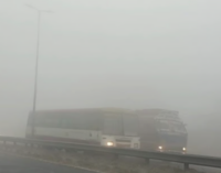 2 dead in accident in Haryana, 360 flights hit in Delhi amid fog in north India