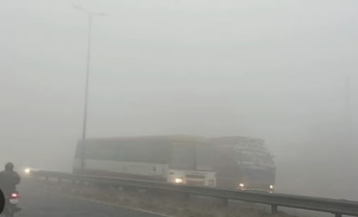 2 dead in accident in Haryana, 360 flights hit in Delhi amid fog in north India