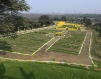 Tata Steel Meramandali Inaugurates 25-Acre Biodiversity Park, Transforming Former Ash Mound