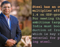 Budget 2025-26: Mineral taxes and export duty needs review, says RP Gupta