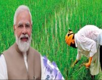 ଚାଷୀଙ୍କୁ ହୋଲି ଭେଟି: ଓଡ଼ିଶାର ୩୪ ଲକ୍ଷରୁ ଅଧିକ ପ୍ରଧାନମନ୍ତ୍ରୀ କିଷାନ ଯୋଜନାରେ ଉପକୃତ