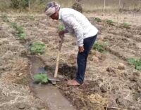 ଖବର ପ୍ରସାରଣ ପରେ ତତ୍ପରତା ଦେଖାଇଲା ଶିକ୍ଷା ବିଭାଗ; ଦିବ୍ୟାଙ୍ଗ ଶିକ୍ଷକଙ୍କୁ ମିଳିଲା ବକେୟା ଦରମା