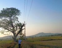 TPSODL commissions new 33 kV line benefiting 34000 Consumers