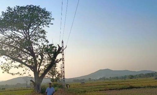 TPSODL commissions new 33 kV line benefiting 34000 Consumers