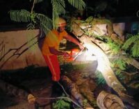 TPNODL Swiftly Responds to Kalbaisakhi Devastation, Ensures Rapid Power Restoration